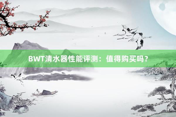 BWT清水器性能评测：值得购买吗？