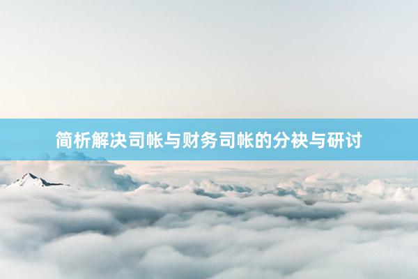 简析解决司帐与财务司帐的分袂与研讨