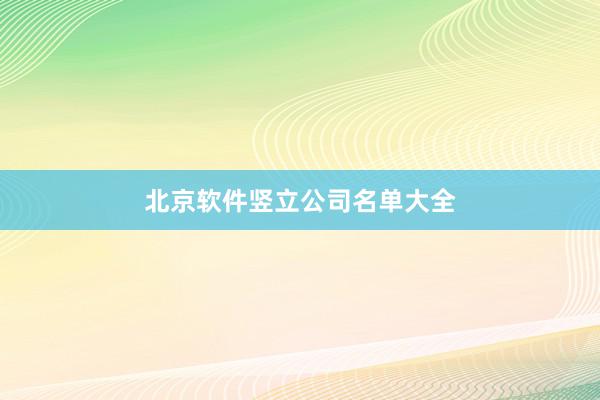 北京软件竖立公司名单大全